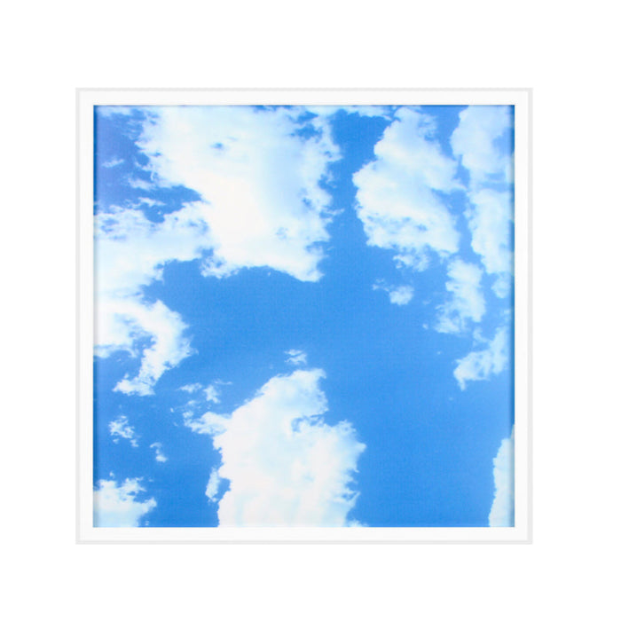 40W SKY LED 2D Ceiling Panel 60x60cms, Set of 2 Ultra Thin LED Panels, for Waiting Area, Hallway, Office and Home, Colour Temperature 6000k
