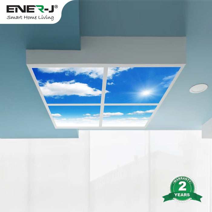 LED Sky Panel Cloud Ceiling Light Panel 2D Version, Set of 4 600 x 600 Ceiling Lights LED Light Panel, 40W, 2 yrs warranty