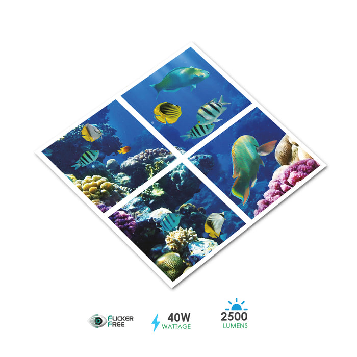 LED 3D Marine Ocean Life Design Panel 40w Recessed Ceiling Skylight 600mm x 600mm Daylight [Set of 4 Panels]
