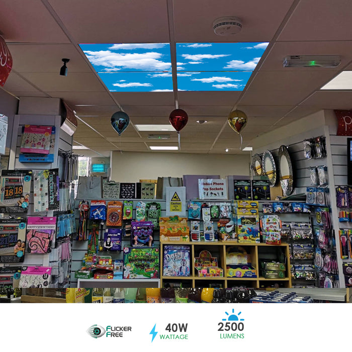 LED Sky Panel Cloud Ceiling Light Panel 2D Version, Set of 4 600 x 600 Ceiling Lights LED Light Panel, 40W, 2 yrs warranty