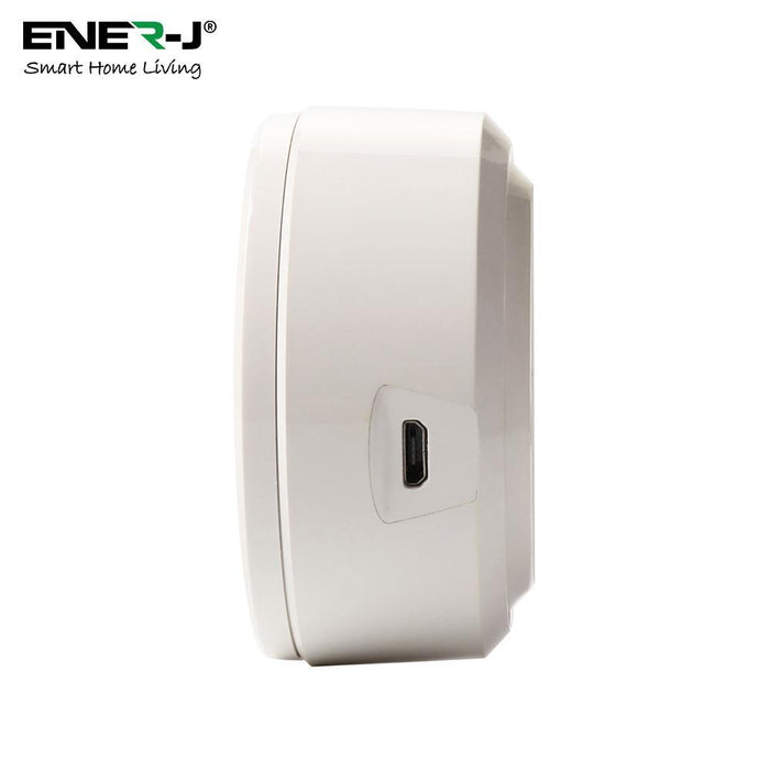 Wifi Siren Alarm Sensor - Olectrical