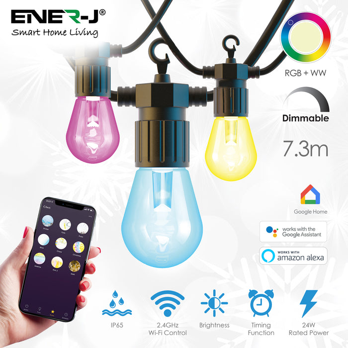 Wi-Fi LED String Light with RGB+WW, 7.3M and 12pcs LED Bulbs withPlug & Play Power Supply