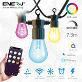Load image into Gallery viewer, Wi-Fi LED String Light with RGB+WW, 7.3M and 12pcs LED Bulbs withPlug &amp; Play Power Supply
